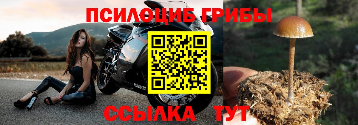 Галлюциногенные грибы Magic Shrooms Братск